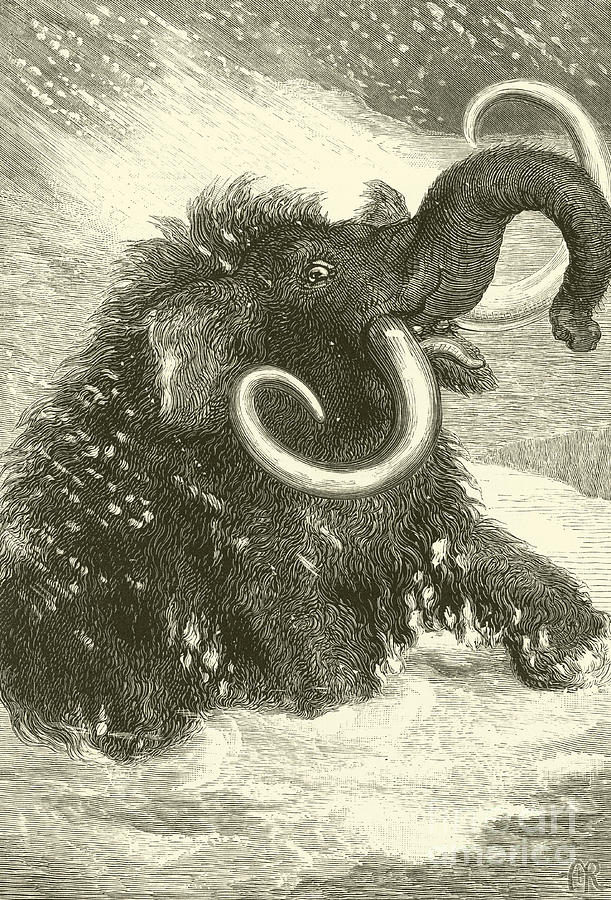 Prehistoric Drawing - The Last of the Mammoths by English School