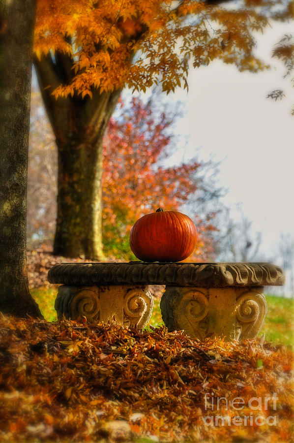 The Last Pumpkin Photograph by Lois Bryan