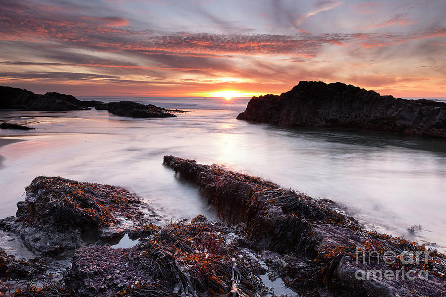 Sunset Photograph - The Last Sunset on the Oregon coast by Masako Metz
