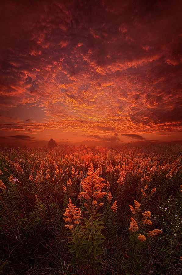 The Last Untold Story Photograph by Phil Koch