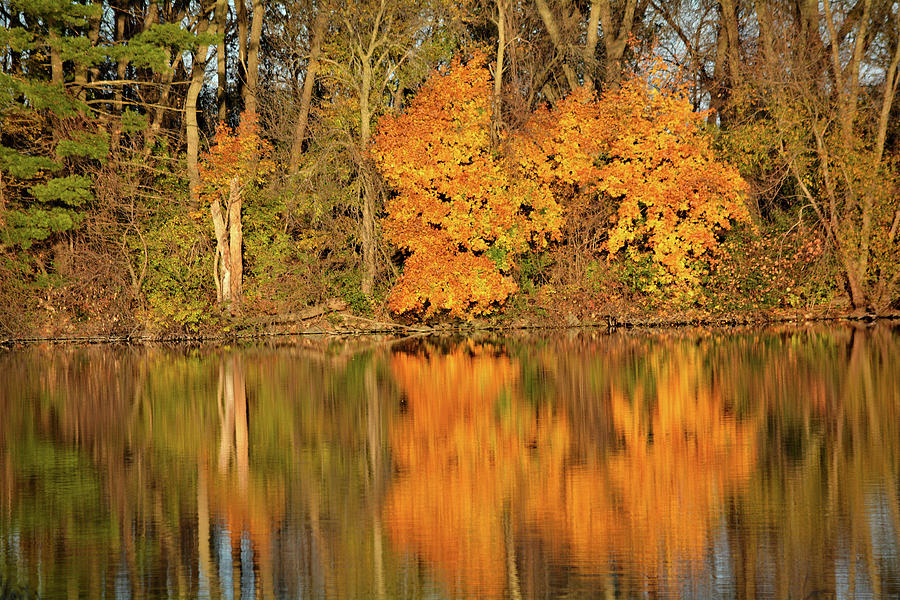 The Last Vestige of Autumn Photograph by Bonfire Photography - Fine Art ...