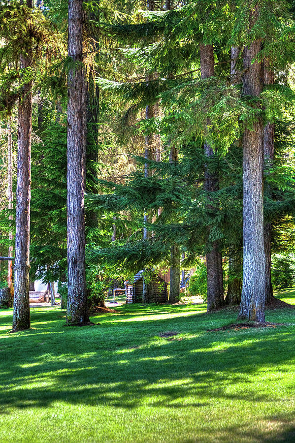 The Lawn at Hills Resort Photograph by David Patterson