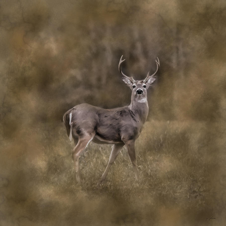 The Leader - Whitetail Buck Deer Art Photograph by Jai Johnson