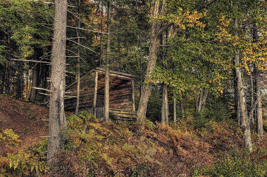 The Lean-to in Autumn Photograph by David Patterson