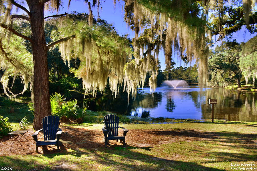 The Legare-Waring Gardens At Charles Town Landing Photograph by Lisa Wooten