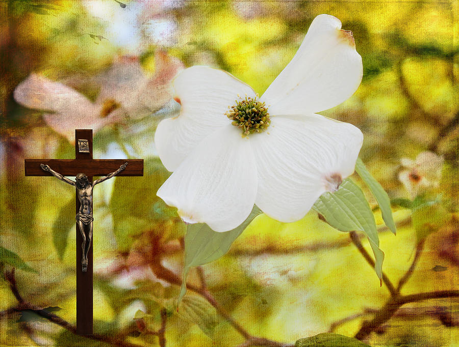 Jesus Christ Photograph - The Legend of The Dogwood by Judy Vincent