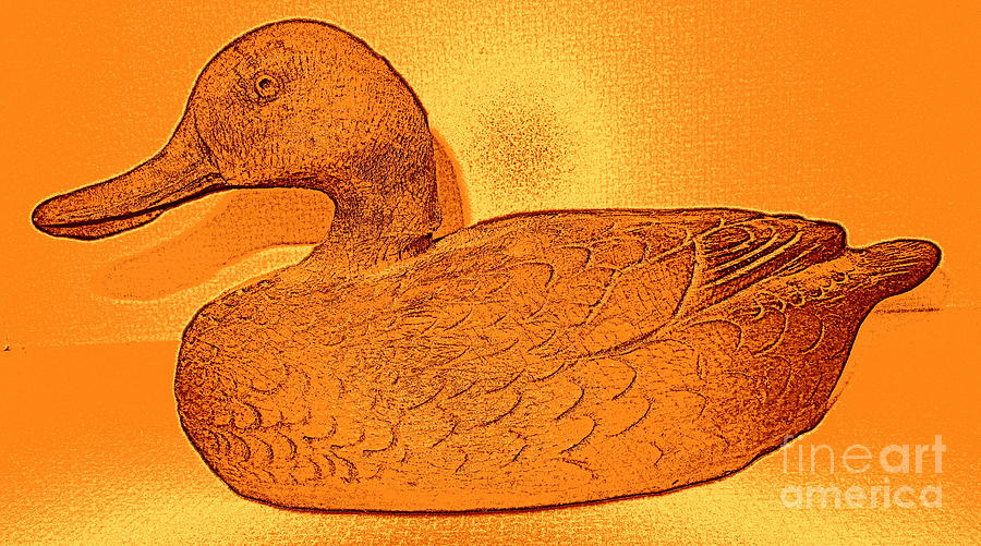 The Legend of The Golden Duck Photograph by Richard W Linford