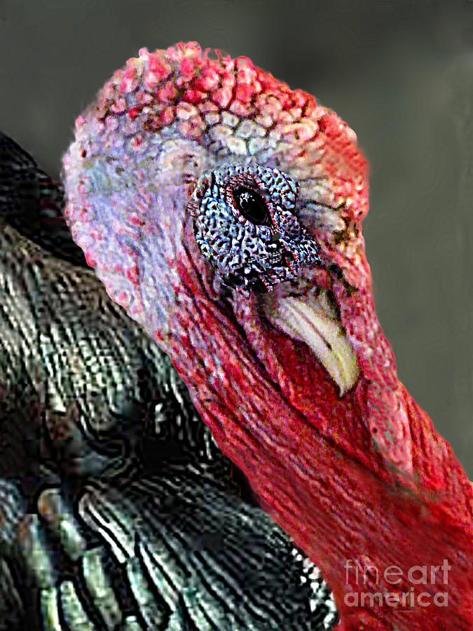 Turkey Photograph - The Legendary American Turkey by Dale Jackson