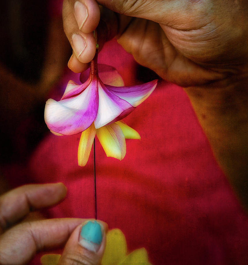The Lei Makers Hands Photograph by Jade Moon