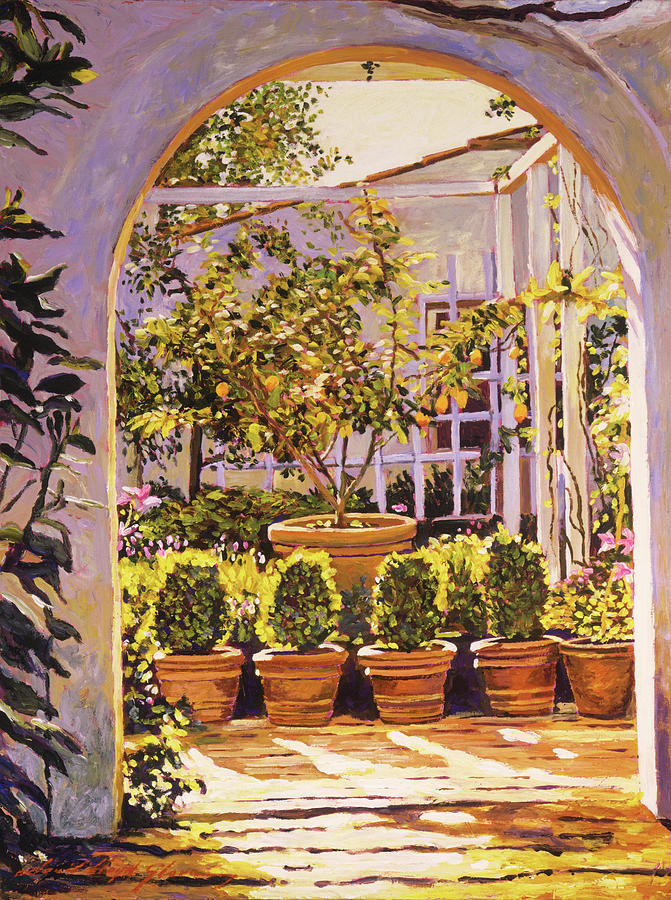 The Lemon Tree Courtyard Painting by David Lloyd Glover