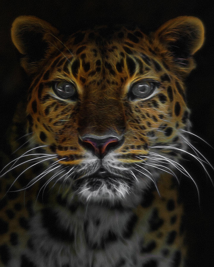 Animal Digital Art - The Leopard Digital Art by Ernest Echols