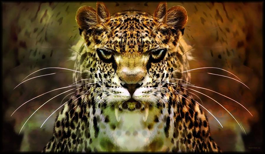 The Leopard Of The Temple Photograph by Daniel Arrhakis | Fine Art America