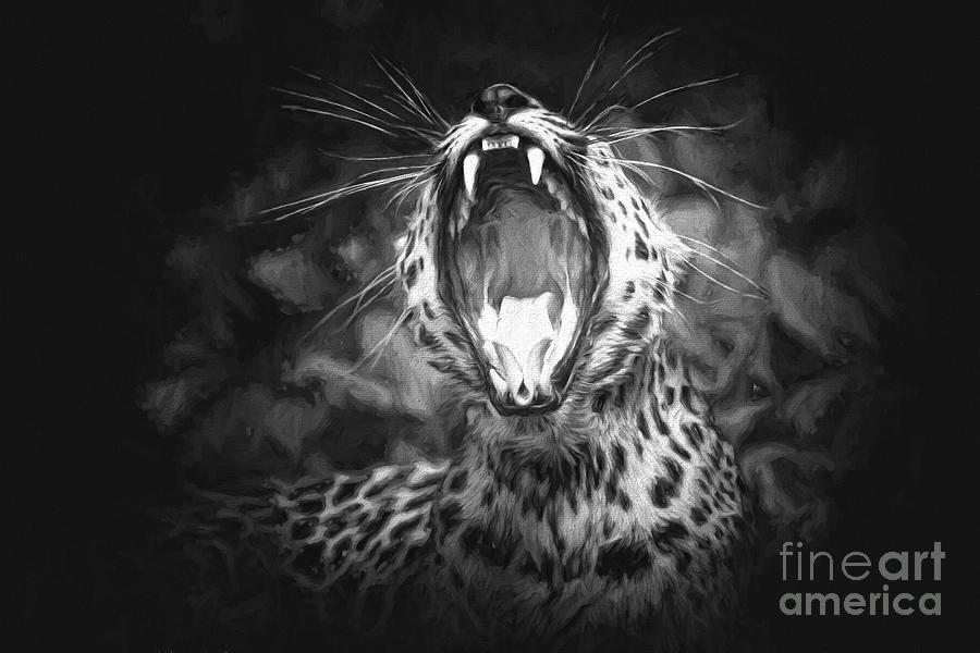 The Leopards Tongue Rolling Roar II Photograph