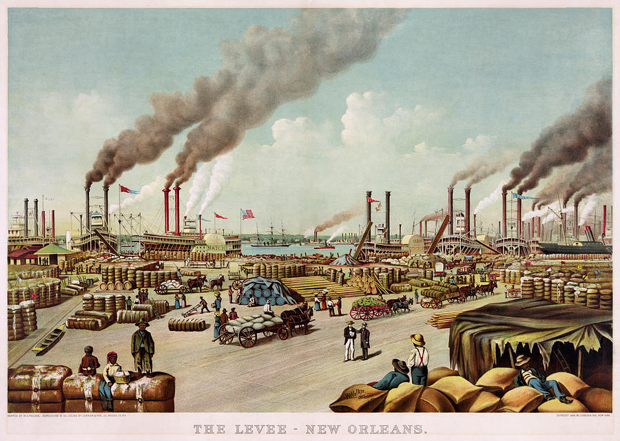 The Levee. New Orleans Drawing by W A Walker