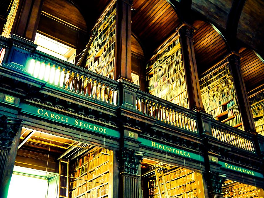 Shell Photograph - The Library by James Fitzpatrick