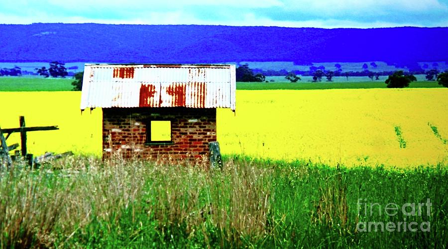 The Light In the Window by Ronald Rockman The Light In the Window by Ronald Rockman