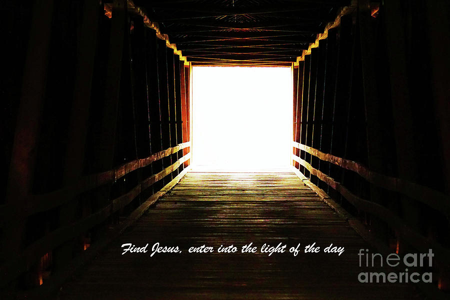 The Light Photograph by Merle Grenz