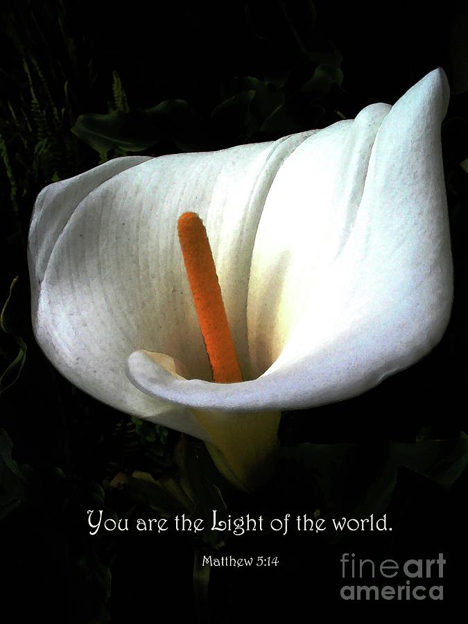 The Light of the World Photograph by Hazel Holland