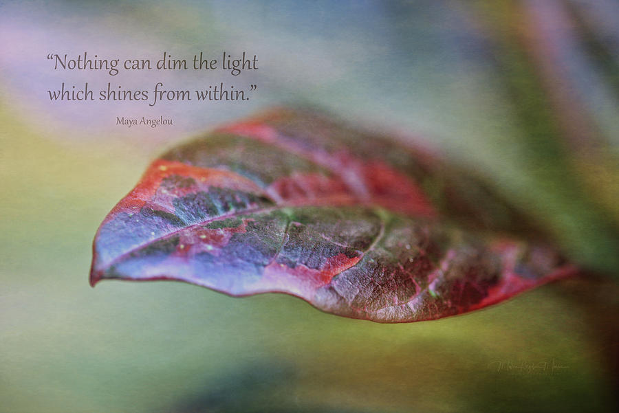 The Light Which Shines From Within Photograph by Maria Angelica Maira