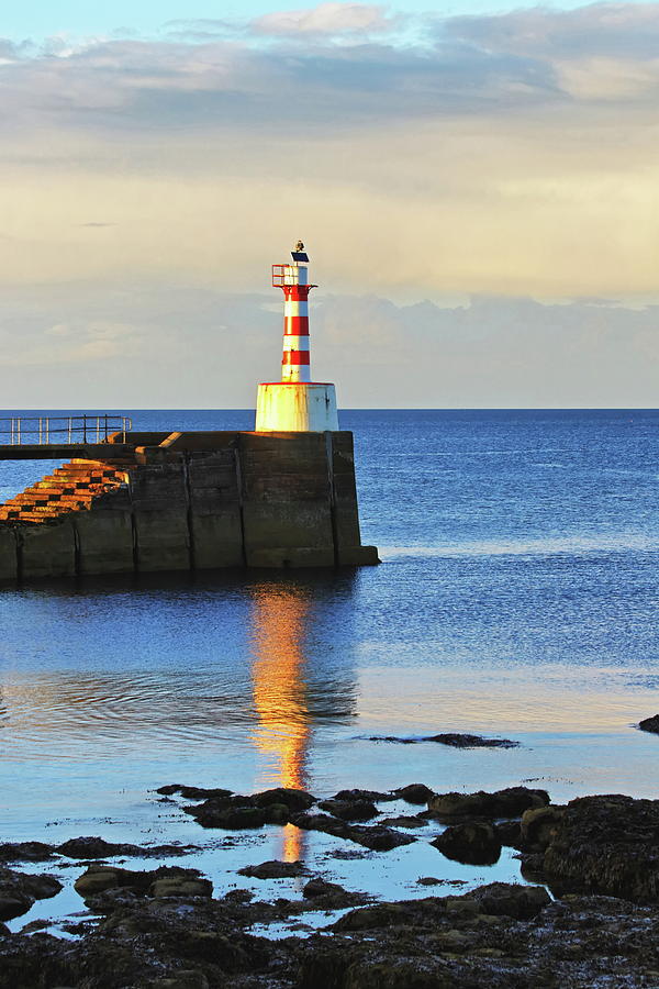 The Lighthouse At Amble Photograph by Jeff Townsend