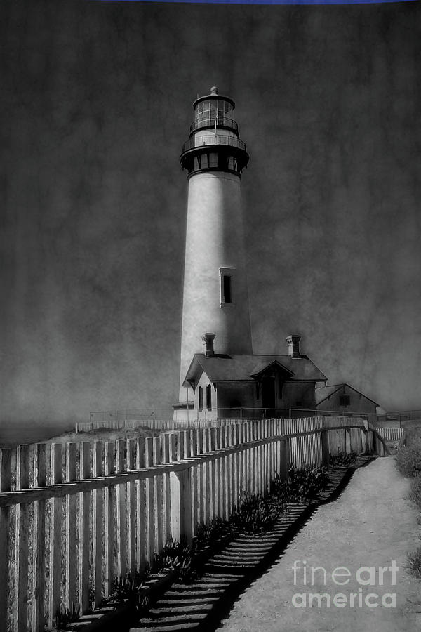 The Lighthouse At Pigeon Point Bw Photograph