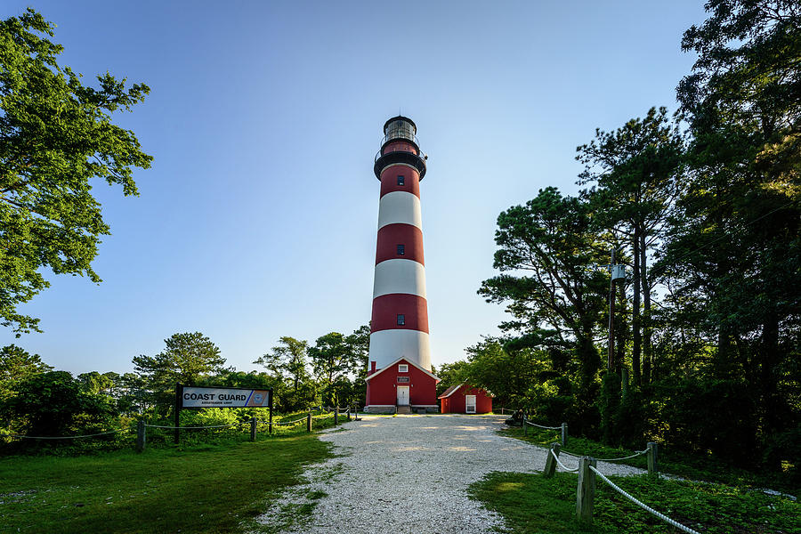 Summer Photograph - The Lighthouse by Michael Scott