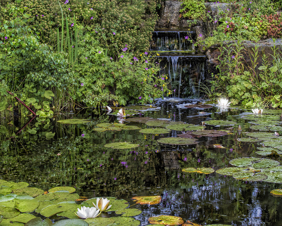 Waterfall Photograph - The lilly pond at Great Dixter by Barbara Vietzke