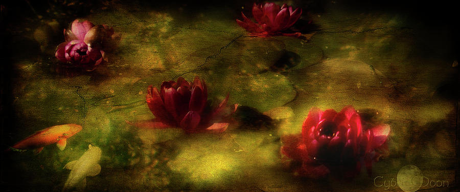 The Lily Pond Photograph by Cybele Moon
