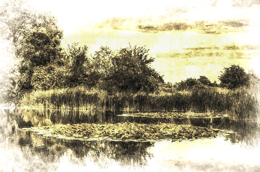 The Lily Pond Vintage Photograph by David Pyatt
