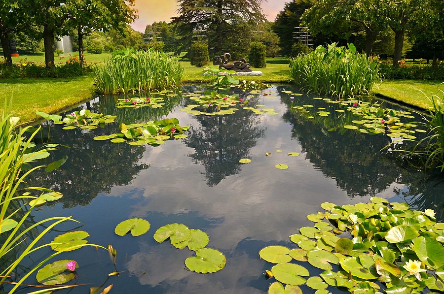 The Lily Pool Photograph by Diana Angstadt