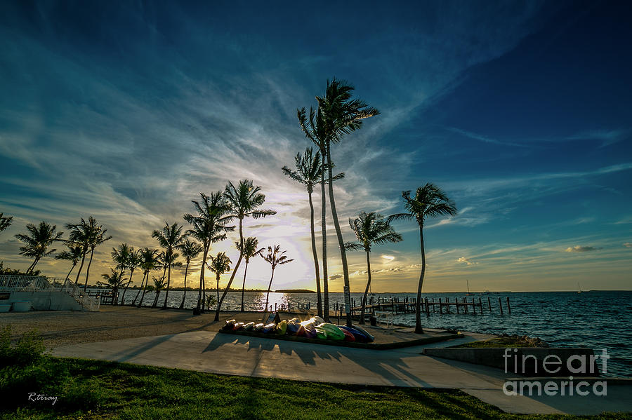 The Line of Palms Photograph by Rene Triay FineArt Photos
