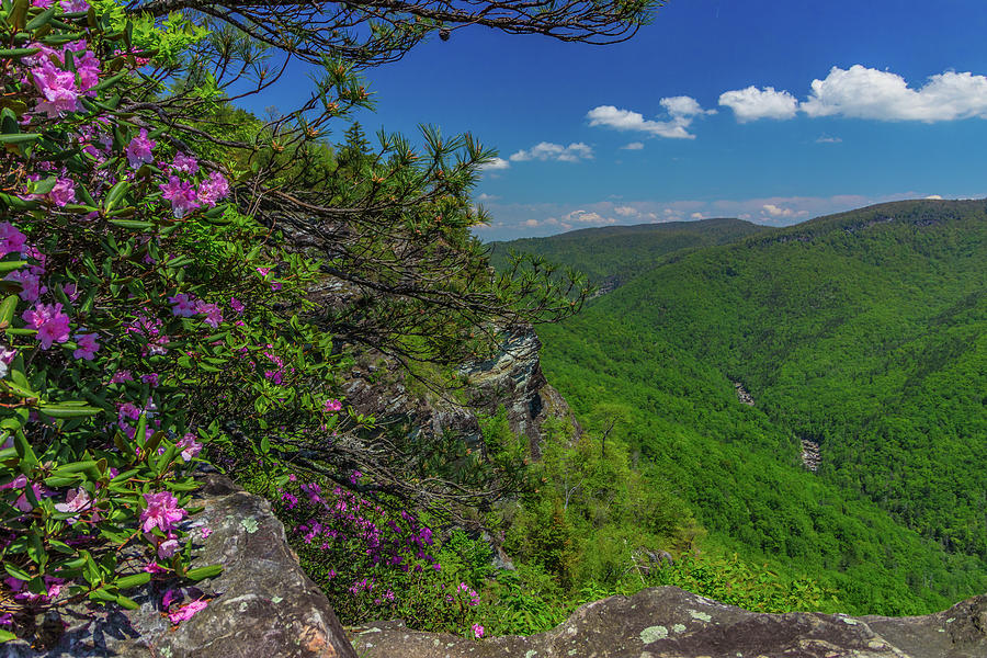  The Linville Gorge Photograph by Dana Foreman