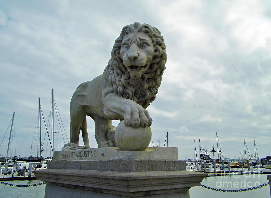 The Lion and The Marina Photograph by D Hackett
