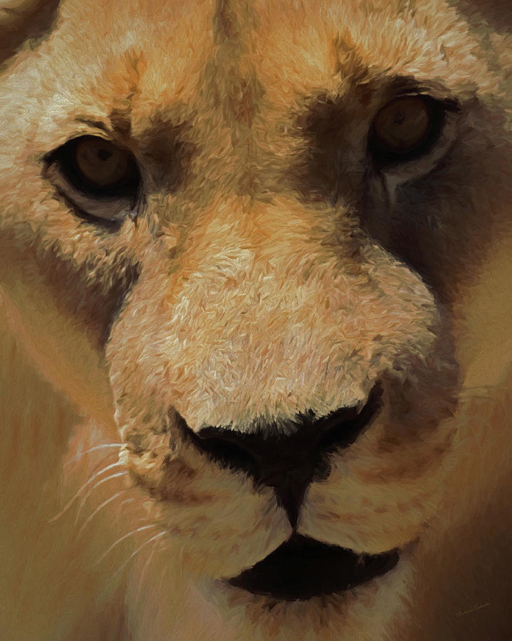 The Lion DA Digital Art by Ernest Echols