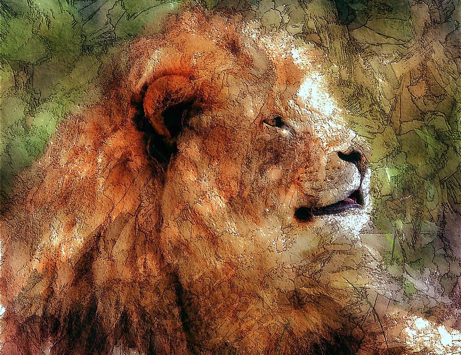 The Lion Digital Art by Mark Taylor