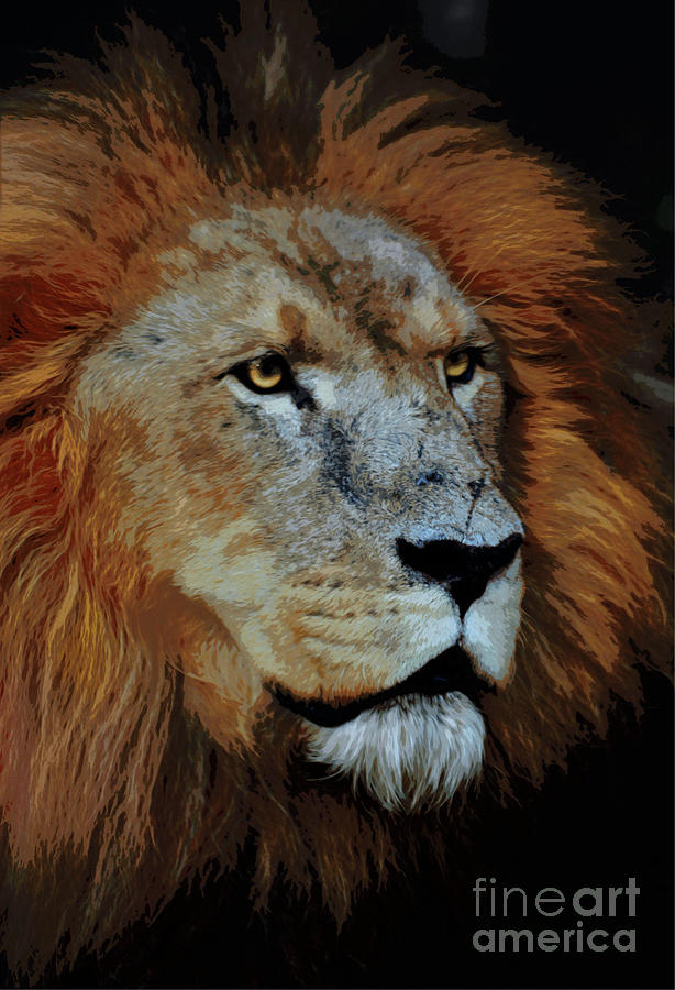 The Lion of Judah Photograph by Savannah Gibbs