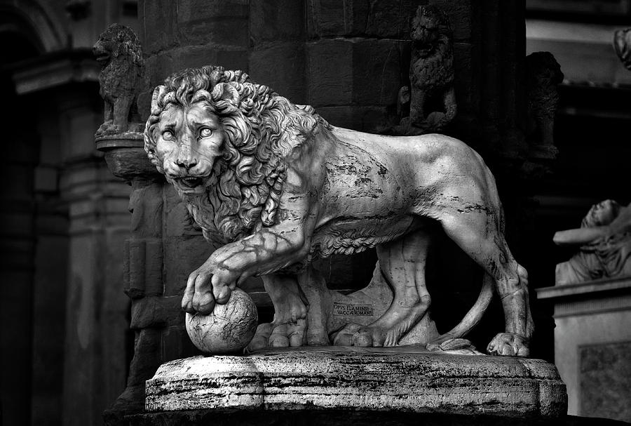 The Lion Of The Piazza Della Signoria, Florence.    Black And White Photograph