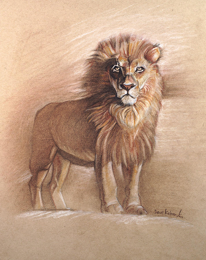 The Lion - Wildlife Drawing Drawing by Dave Kobrenski