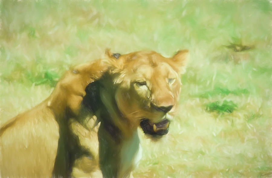 The Lioness  Digital Art by Cathy Anderson