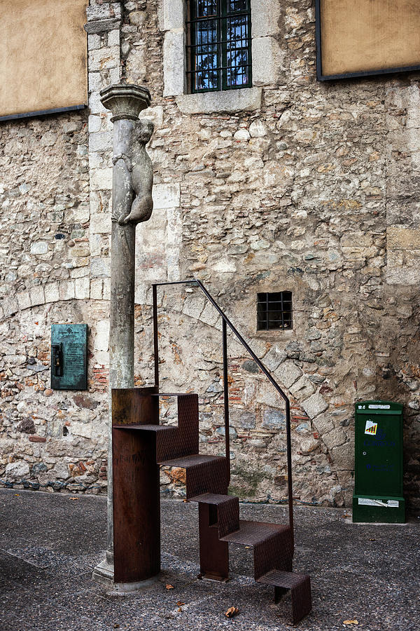 The Lioness of Girona Sculpture Photograph by Artur Bogacki
