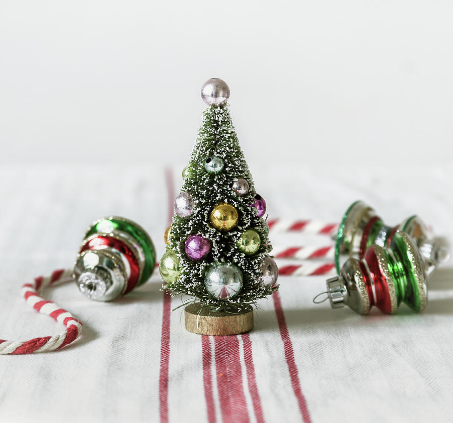 The Little Christmas Tree Photograph by Kim Hojnacki
