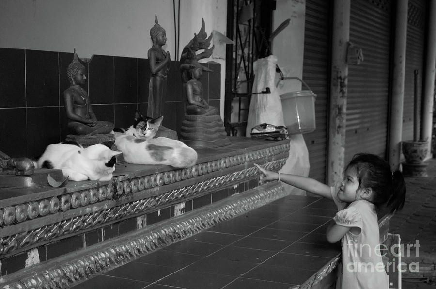 The Little Girl And The Temples Cats Photograph by Michelle Meenawong