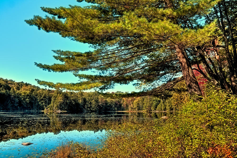 The Little Known Cary Lake Photograph by David Patterson