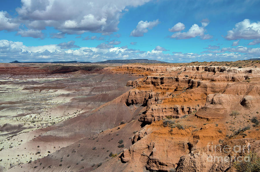The Little Painted Desert Photograph by Stephen Whalen