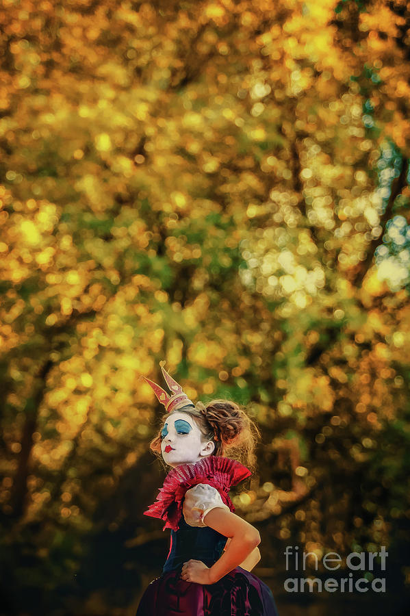 The Little Queen of Hearts Alice in Wonderland Photograph by Dimitar Hristov