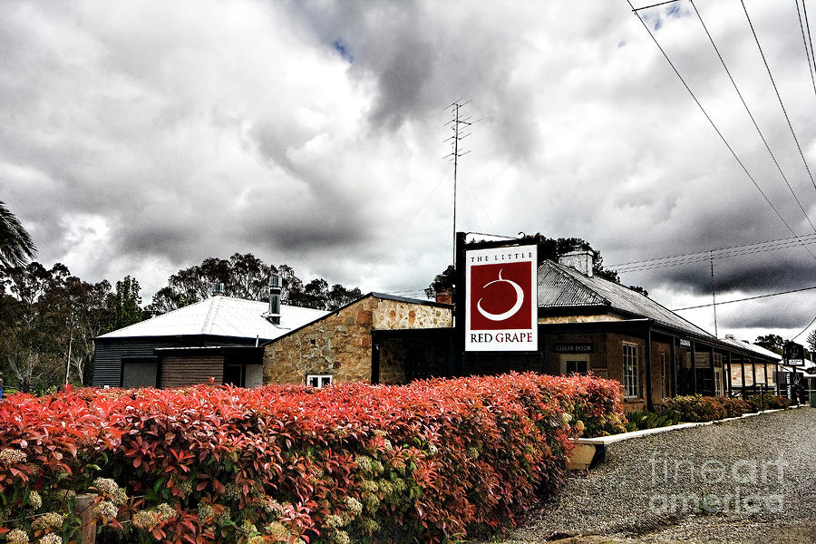 The Little Red Grape Winery   Photograph by Douglas Barnard