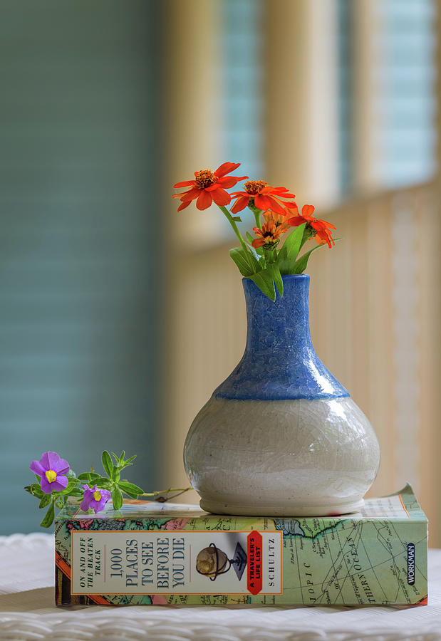 The Little Vase Photograph by Cindy Lark Hartman