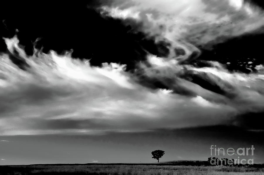 The Liverpool Plains - bw Photograph by Werner Padarin