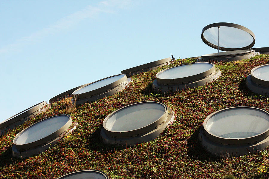 The Living Roof Photograph by Art Block Collections