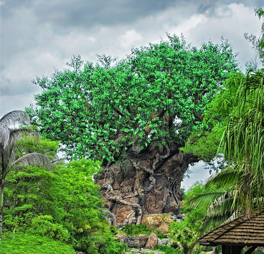 Castle Photograph - The Living Tree Walt Disney World MP by Thomas Woolworth